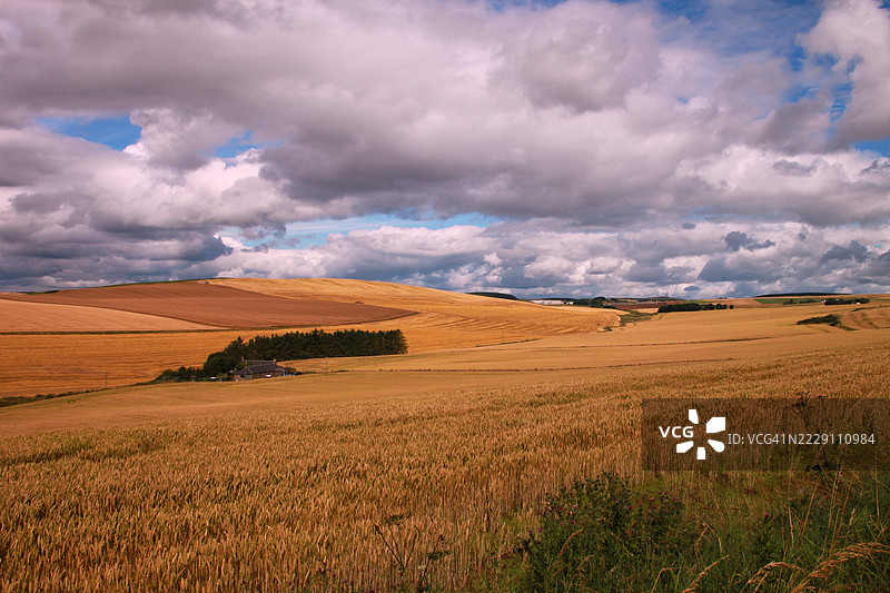 英国天空下的田野美景图片素材