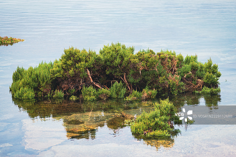 维多利亚州波特费里美丽的盐碱地景观及其在水中的倒影图片素材