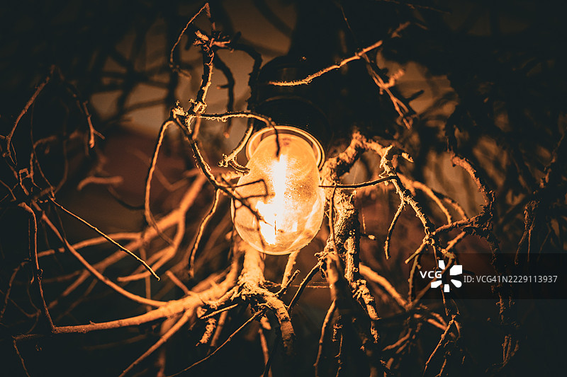 照亮的灯泡特写，菲律宾图片素材