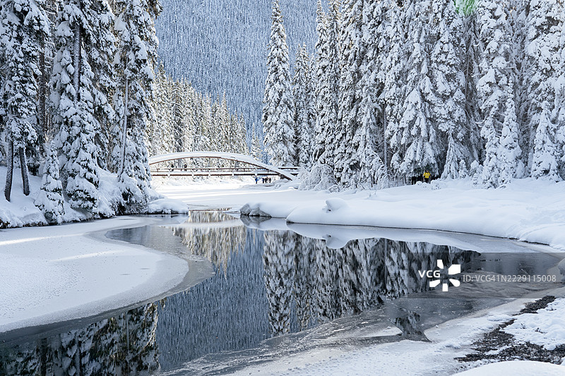 雪覆盖的风景，奇利瓦克，不列颠哥伦比亚省，加拿大图片素材
