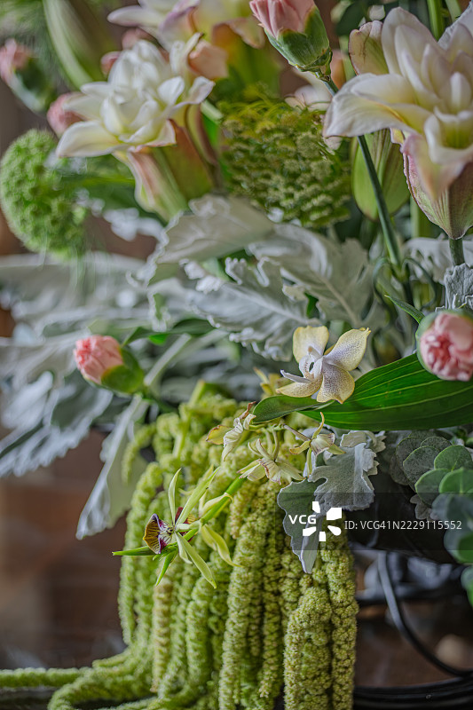 花朵特写，圣佩德罗苏拉，科尔特斯，洪都拉斯图片素材