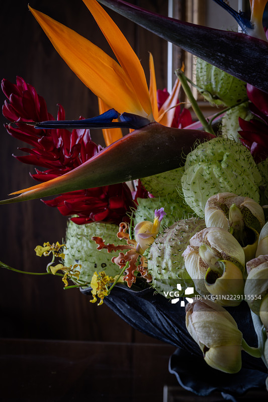 开花植物的特写，圣佩德罗苏拉，科尔特斯，洪都拉斯图片素材