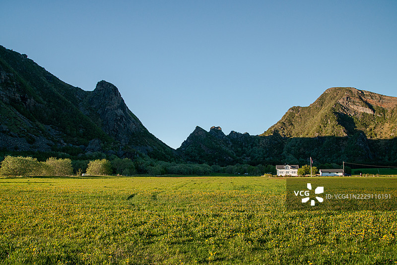挪威清澈天空下的田野美景图片素材
