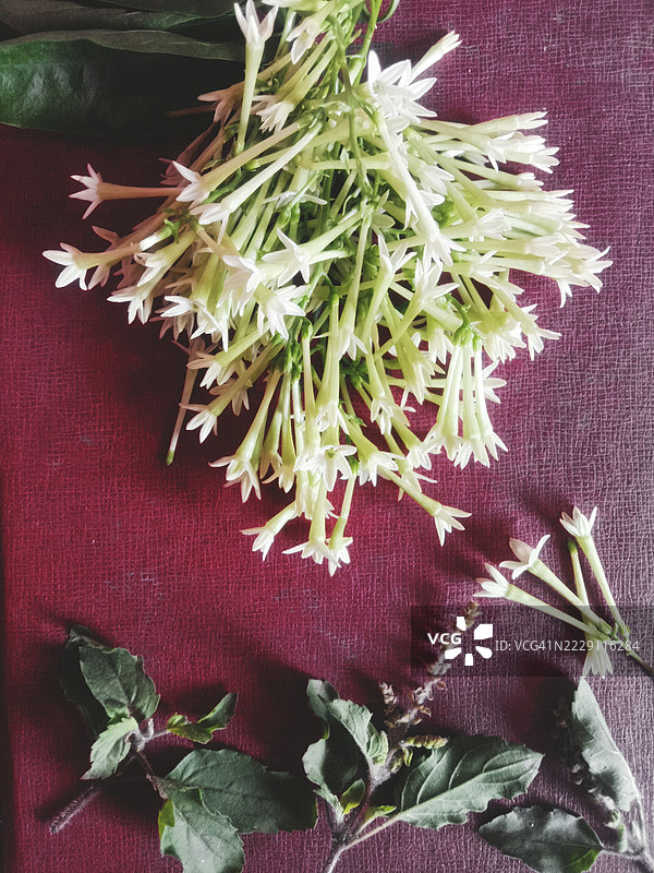 高角度视图的草药在桌子上，查利斯冈，马哈拉施特拉邦，印度图片素材