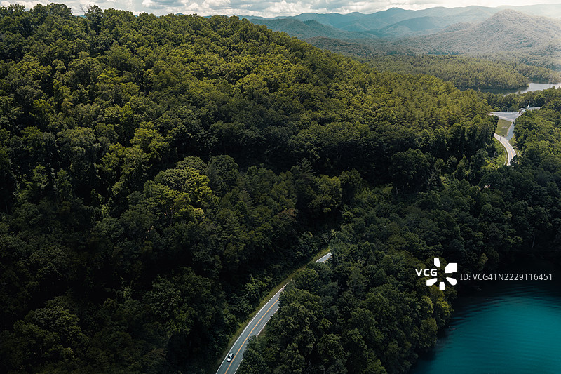 田纳西州加特林堡森林中的树木高角度视图图片素材