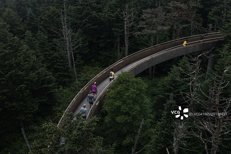 高角度视图，人在田纳西州加特林堡的森林步道上行走， 美国图片素材