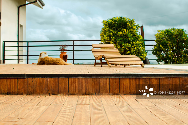 露台上带躺椅和休息的狗的木制露台图片素材