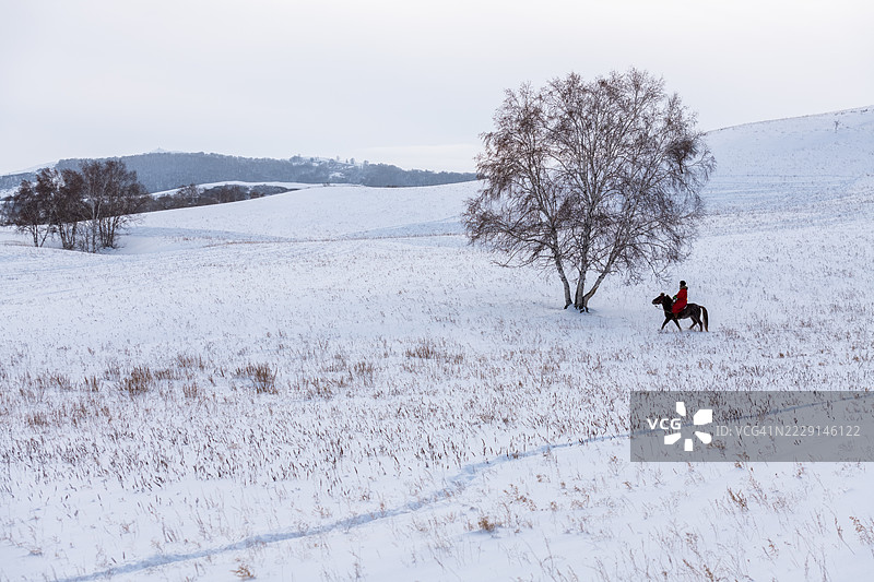 一个孤独的人骑着马穿越覆盖着雪的田野，旁边有一棵树。图片素材
