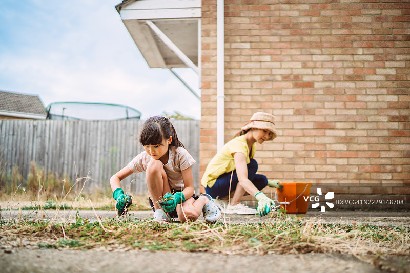 母女一起在家里园艺，拔除杂草图片素材