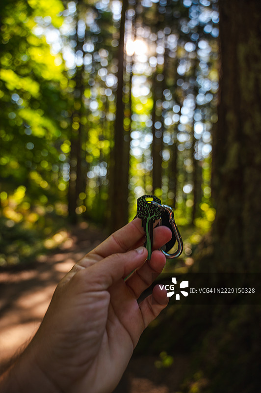 维多利亚的道格拉斯山自然风光图片素材