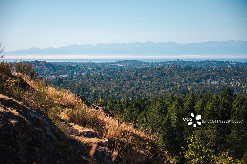 维多利亚的道格拉斯山自然景观图片素材
