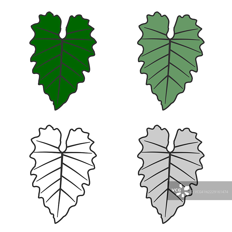 monstera植物的绿色叶子矢量图标图片素材