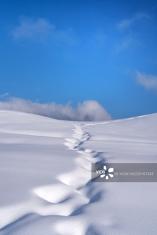 雪地中延伸的脚印图片素材