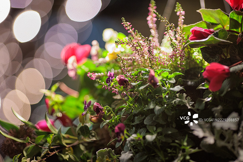 东京丸之内的圣诞氛围图片素材