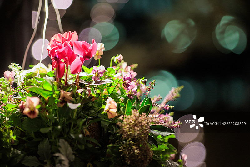 东京丸之内的圣诞氛围图片素材