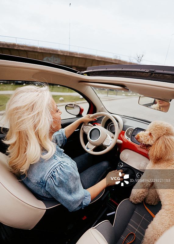 一位五十多岁美丽女性与她的狗在敞篷车中，穿行于城市街道。图片素材