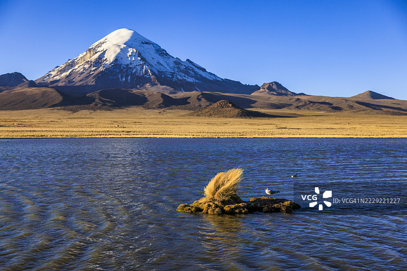 玻利维亚高原上的萨哈马火山图片素材