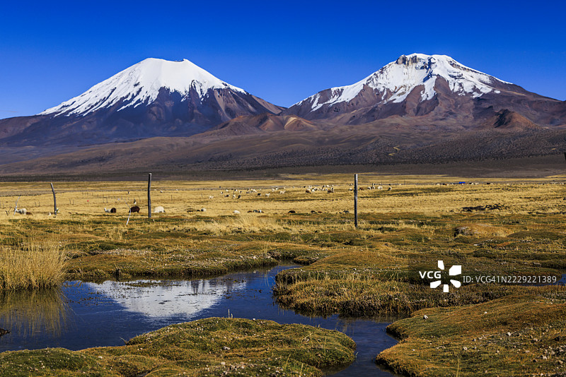 博利维亚萨哈马国家公园的帕里纳科塔火山图片素材
