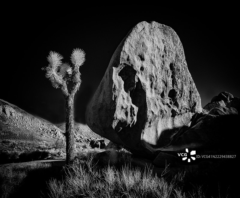 约书亚树国家公园图片素材