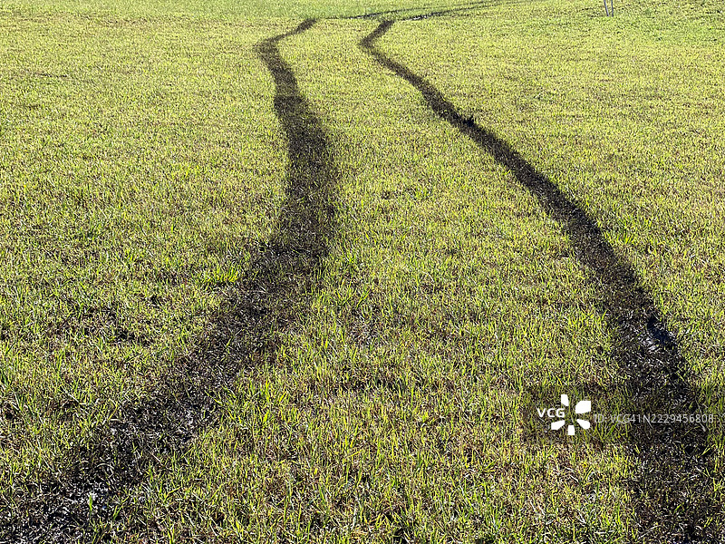 绿色草坪上的轮胎印图片素材