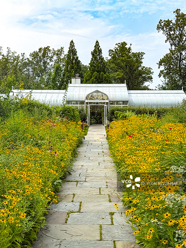 华盛顿特区希尔伍德温室附近的切割花园中的石头小径图片素材