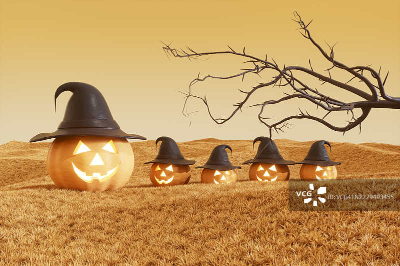 秋季风景中的南瓜与女巫帽图片素材