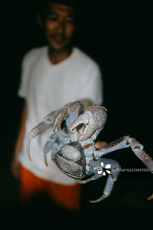 夜间在冲绳县石垣岛，一名男子手持椰子蟹图片素材