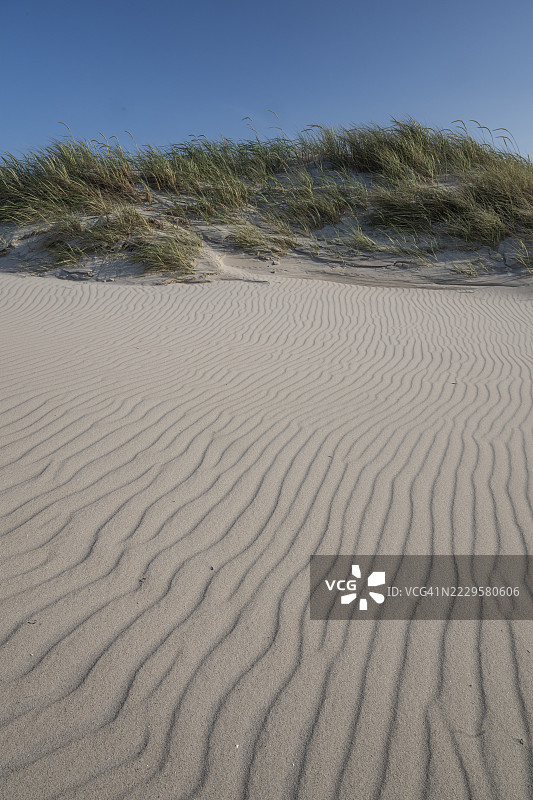沙丘，沙中的波浪纹理，海滩草，蓝天，霍维德桑德，北海，丹麦图片素材