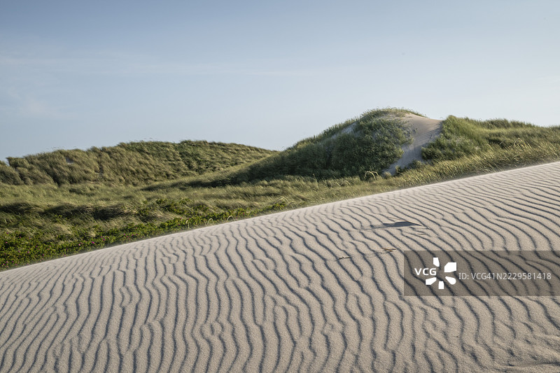 沙丘上长满海滩草，沙子上有波浪纹理，蓝天，丹麦北海的霍维德桑德图片素材