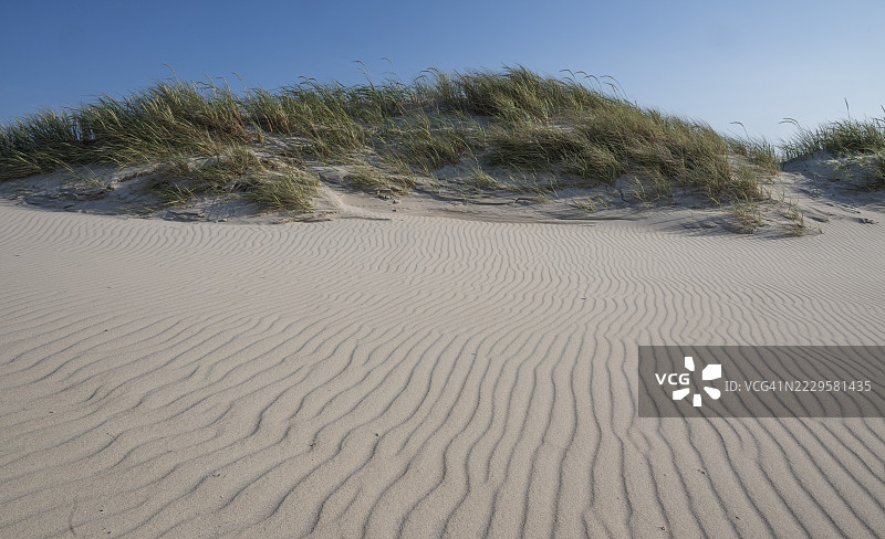 沙丘，沙子中的波浪纹理，蓝天，霍维德桑德，北海，丹麦图片素材