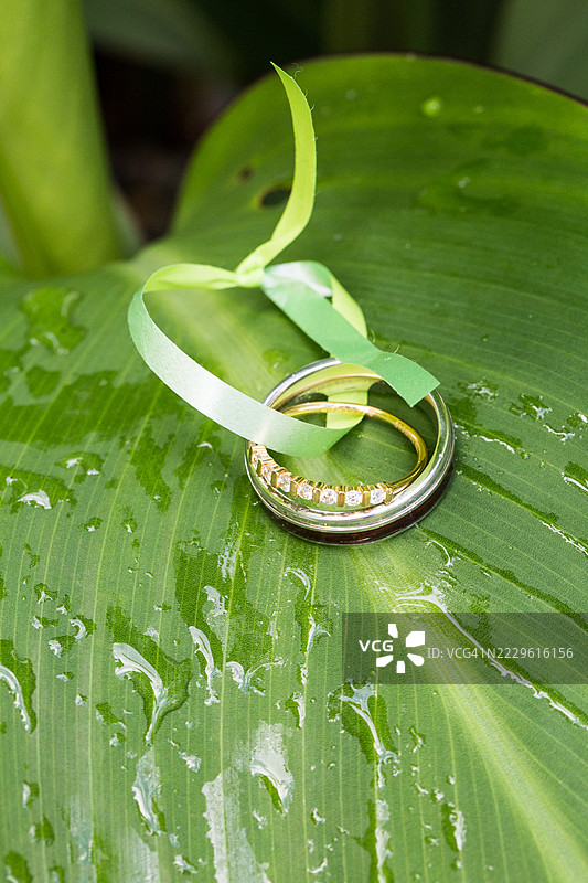 用丝带绑在香蕉叶上的婚戒图片素材