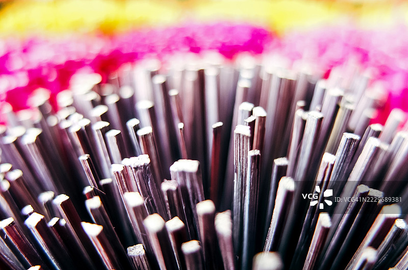 阳光下发光的竹子棒抽象背景图片素材