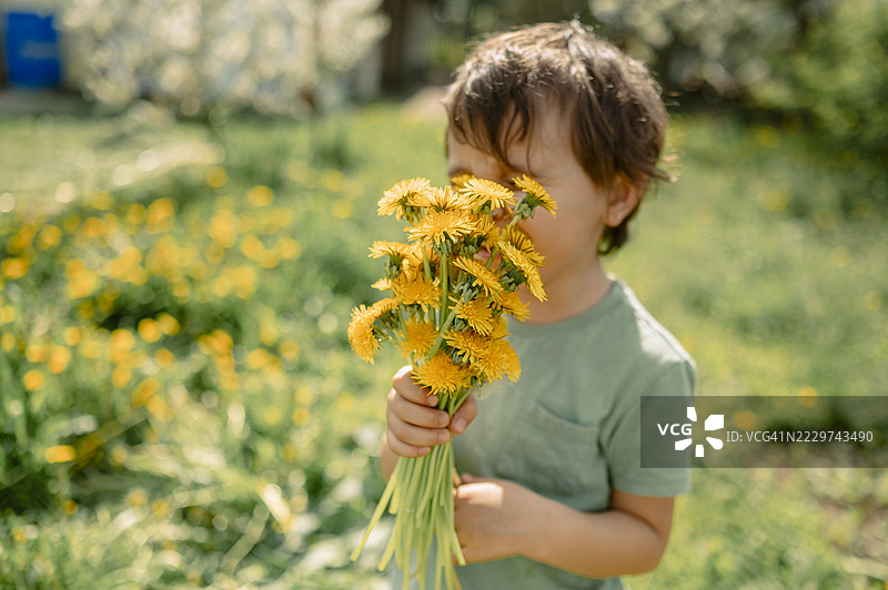 男孩在户外阳光明媚的日子里享受着一束蒲公英。图片素材