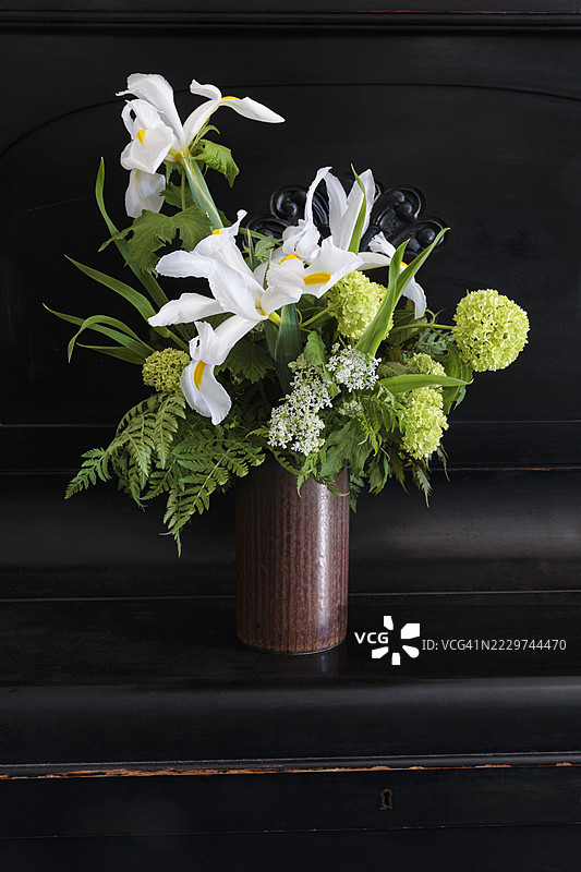 复古的晚春花束，包含荷兰鸢尾和果实山茱萸，置于工作室环境中图片素材