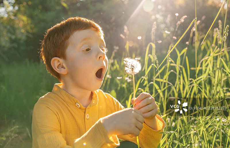 红发孩子穿着黄色衬衫，在阳光明媚的花园里吹蒲公英图片素材