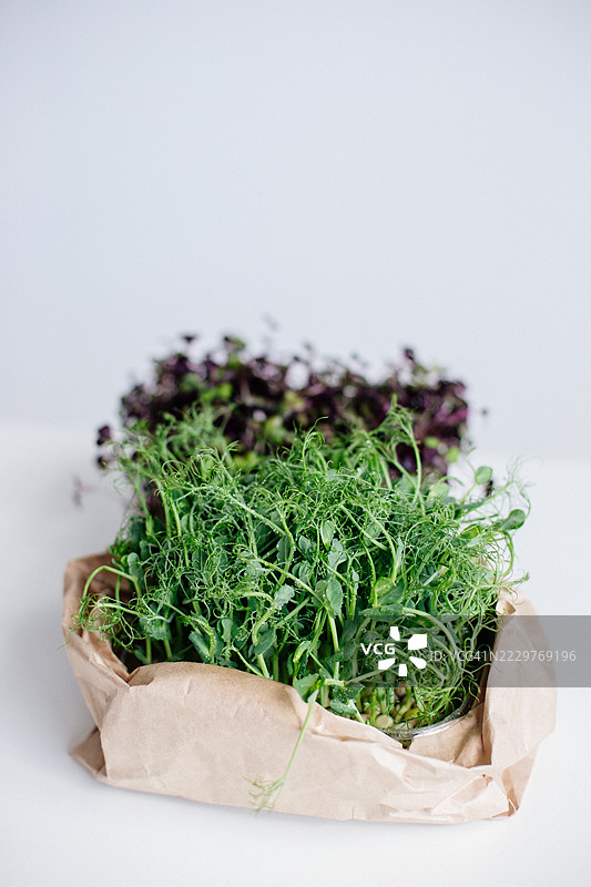 新鲜的微型绿叶蔬菜和香草用天然纸包装，背景为白色图片素材