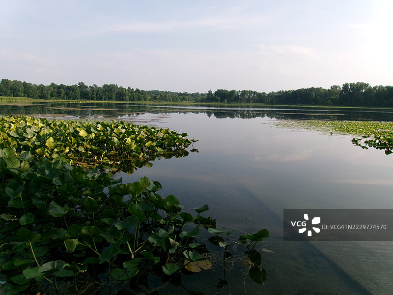 美国拉格朗日的苹果人湖宁静的夏日图片素材