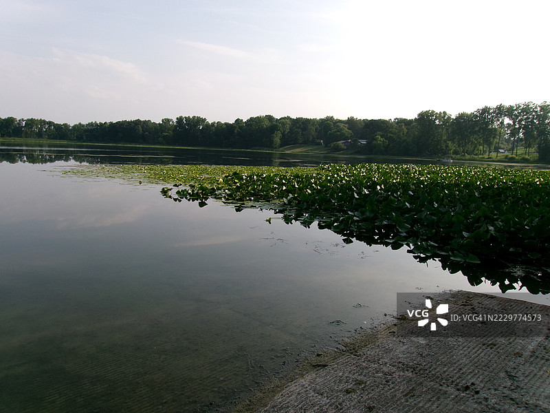 美国拉格朗日的苹果人湖宁静的夏日图片素材