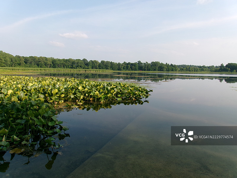 美国拉格朗日的苹果人湖宁静的夏日图片素材