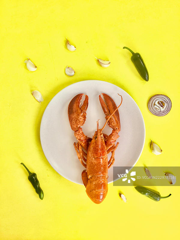 盘子上的龙虾，周围环绕着大蒜瓣和墨西哥胡椒，背景为鲜艳的黄色，土耳其乌萨克图片素材