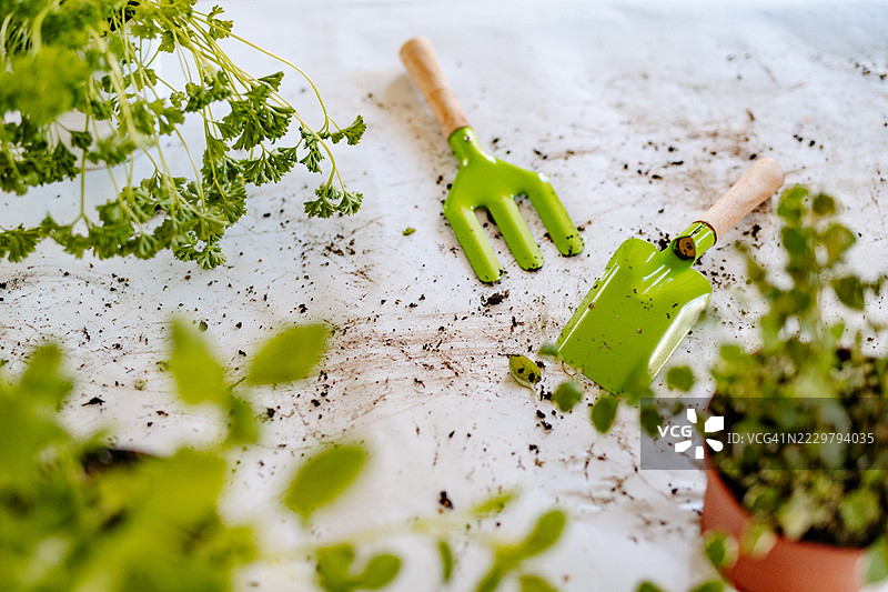 园艺后，桌子上放着泥土和工具，没有人。图片素材