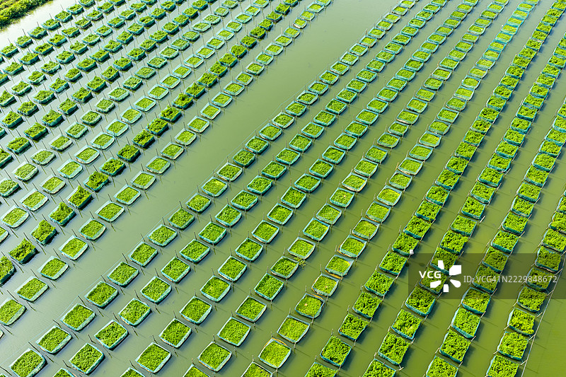 大型水产养殖基地的航拍摄影图片素材