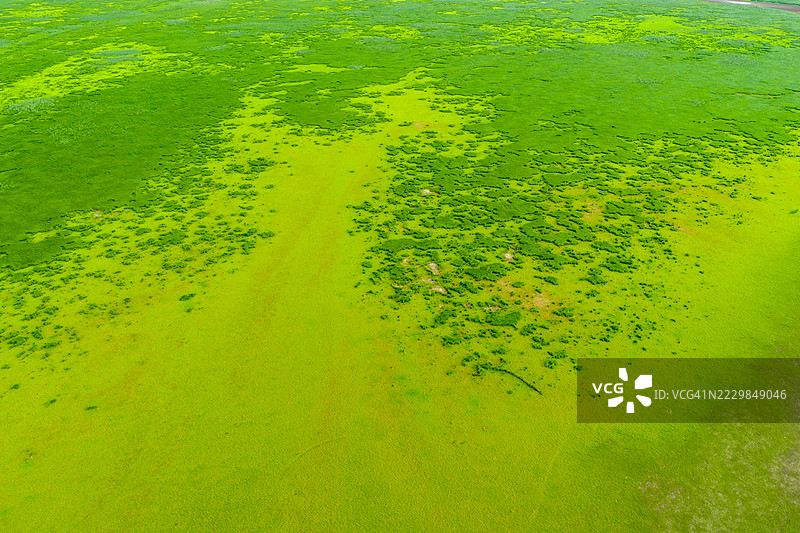 中国最大的淡水湖，鄱阳湖风景，河流无人机视角图片素材