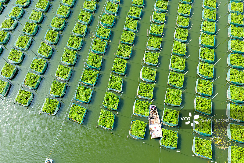 大型水产养殖基地的航拍摄影图片素材