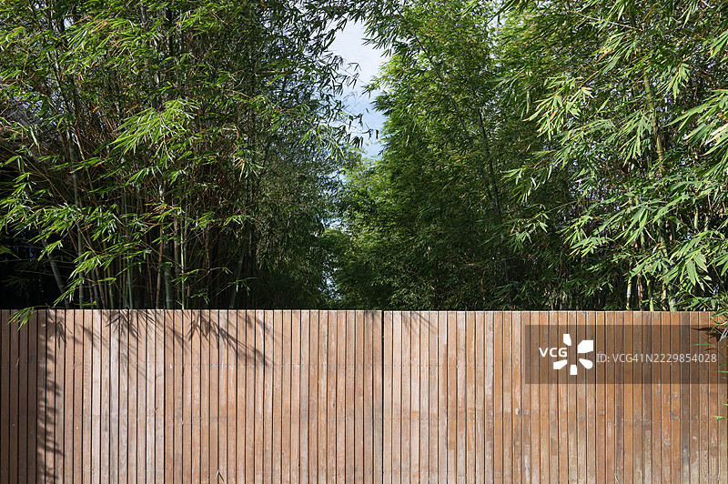 一排树木在背景中的木栅栏图片素材