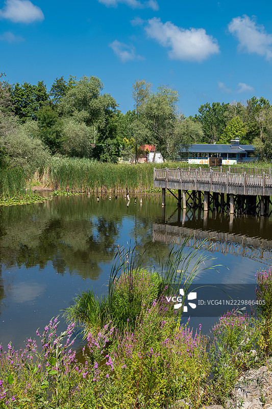 阿卡尔拉长林，土耳其卡拉苏的阿卡尔拉湿地图片素材