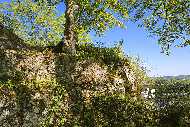 德国巴登-符腾堡州利希滕施泰因市镇霍瑙,施瓦本汝拉山脉的屋檐,树木,落叶林,利希滕施泰因城堡附近的阿尔特-利希滕施泰因遗址图片素材