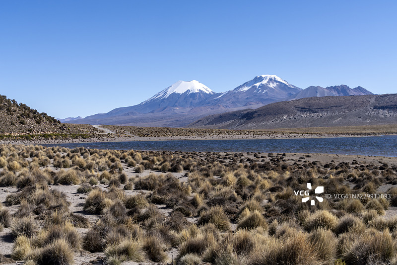 帕里纳科塔火山和波梅拉佩火山的雪顶,前景是湖泊和高原植被,萨哈马国家公园,库拉瓦拉德卡兰加斯,奥鲁罗省,玻利维亚图片素材