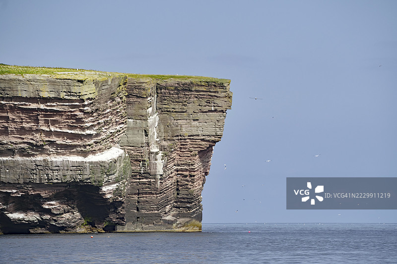 高悬崖峭壁俯瞰蔚蓝海洋，晴朗的天空，诺斯，设得兰群岛，苏格兰，联合王国图片素材