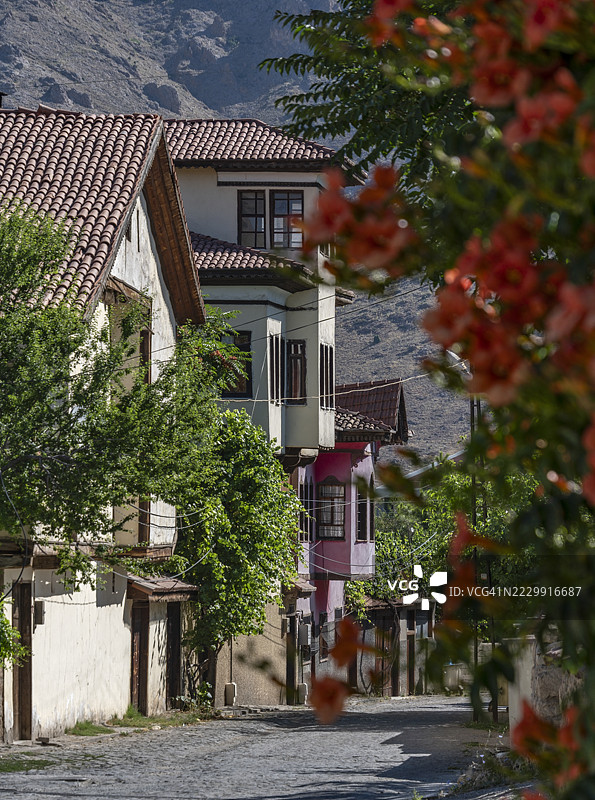土耳其中部安纳托利亚省锡瓦斯的迪夫里吉帕夏大厦（Konak）图片素材